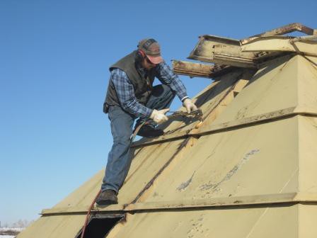 BEFORE: We can cut anything down to get it moved