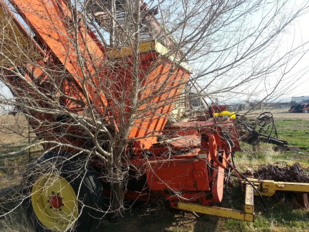 "It ran great when I parked it there... that was before the tree grew through it, of course"