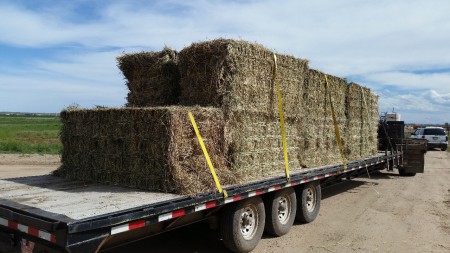 Hay Hauling large or small bales