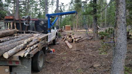 Using custom crane to load logs
