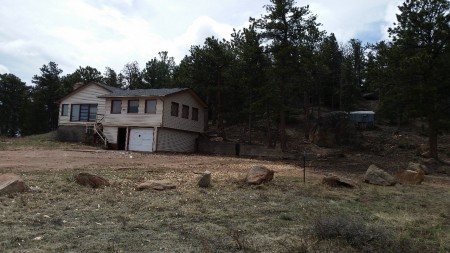 AFTER: Bank owned property clean up (debris and dead tree removal)