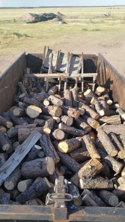 Bucked wood waiting to be split